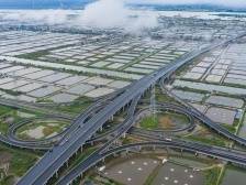 杨勇：白蕉将全力建设产业强镇、宜居小镇、美丽村镇