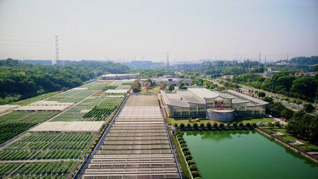 广东种业大会举办地——广东省农业技术推广中心（总部）柯木塱示范基地。