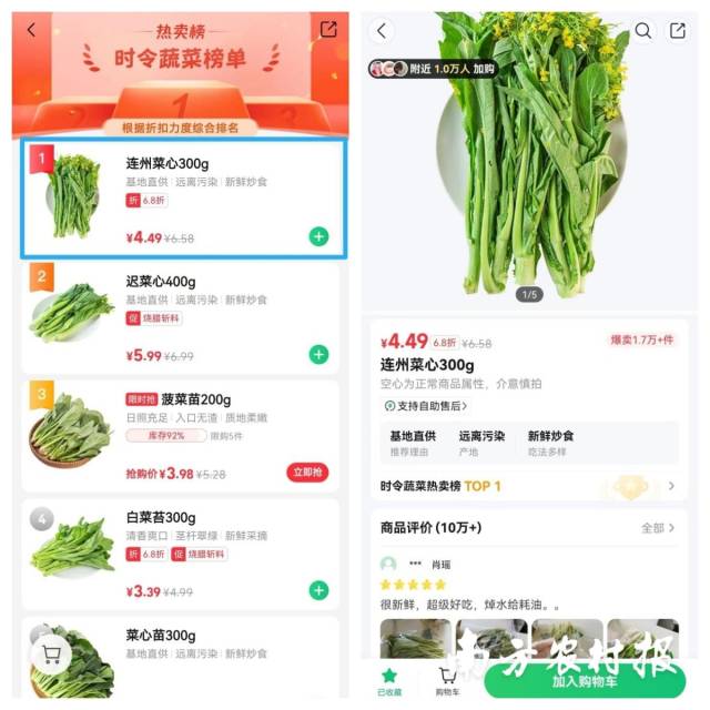连州菜心成为朴朴“时令蔬菜热卖榜TOP 1”。