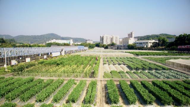 南方都市报 何惠文 拍摄