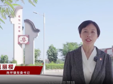 岗坪镇党委书记莫丽樱：打造省际“睦邻廊道”岗坪样板