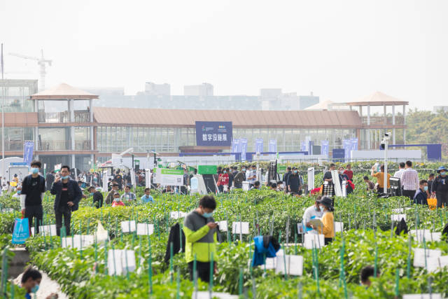 南方都市报 何惠文 拍摄