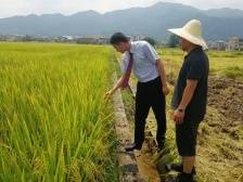 百姓银行进村头！蕉岭农商银行各项贷款余额增幅居全市农商行首位