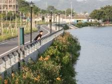 百千万·一线特写 | 潮南峡山街道：治水护绿，守好一江碧水