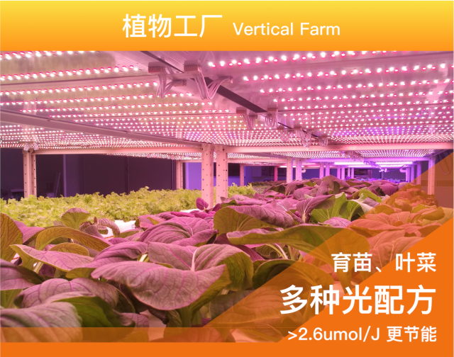 广州市智卉光田农业科技有限责任公司的植物工厂灯光设备海报