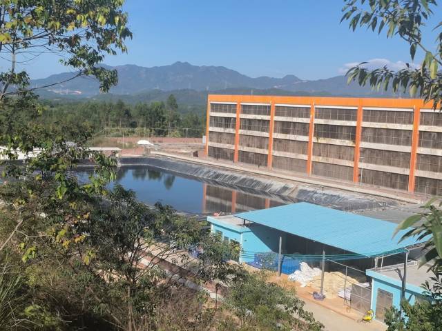 土枝育肥一场建有两栋四层的猪舍，目前只有一栋进猪投产。