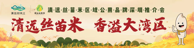 “清”香入圳来，清远丝苗米将亮相2023全球高端食品及优质农产品（深圳）博览会！
