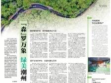 “森”罗万象 绿美潮州｜速览《南方日报·潮州观察》第154期