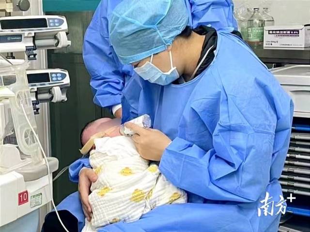 小鱼回到妈妈怀抱。  