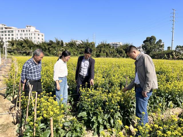 项目团队参观和利农的选育品种