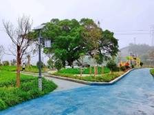 从1到20的大转变！韶关武江糖寮村这样发展壮大新型农村集体经济