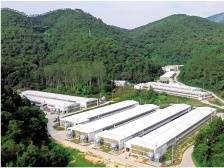 温氏股份：从农户到多元主体，持续释放带富动能