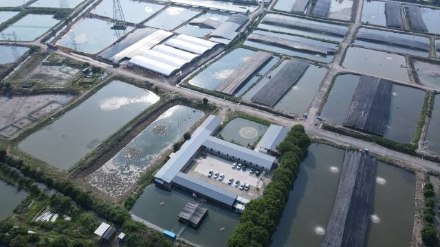 三角生鱼养殖基地。