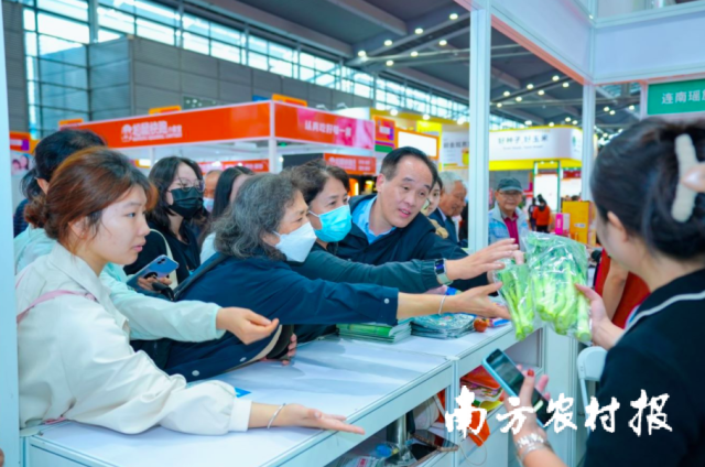 食博会上，连州菜心深受消费者的抢购。