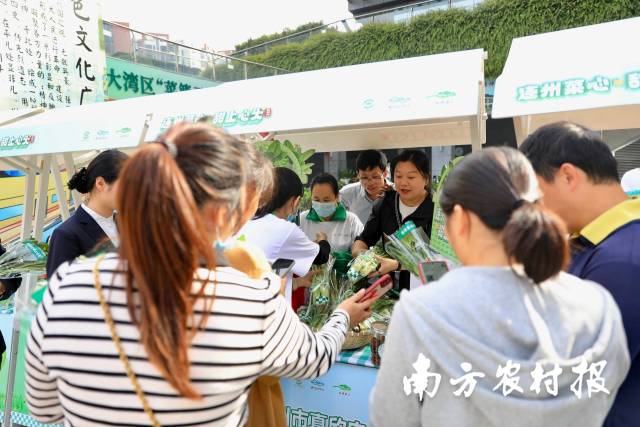 连州菜心走进广州，受市民热捧