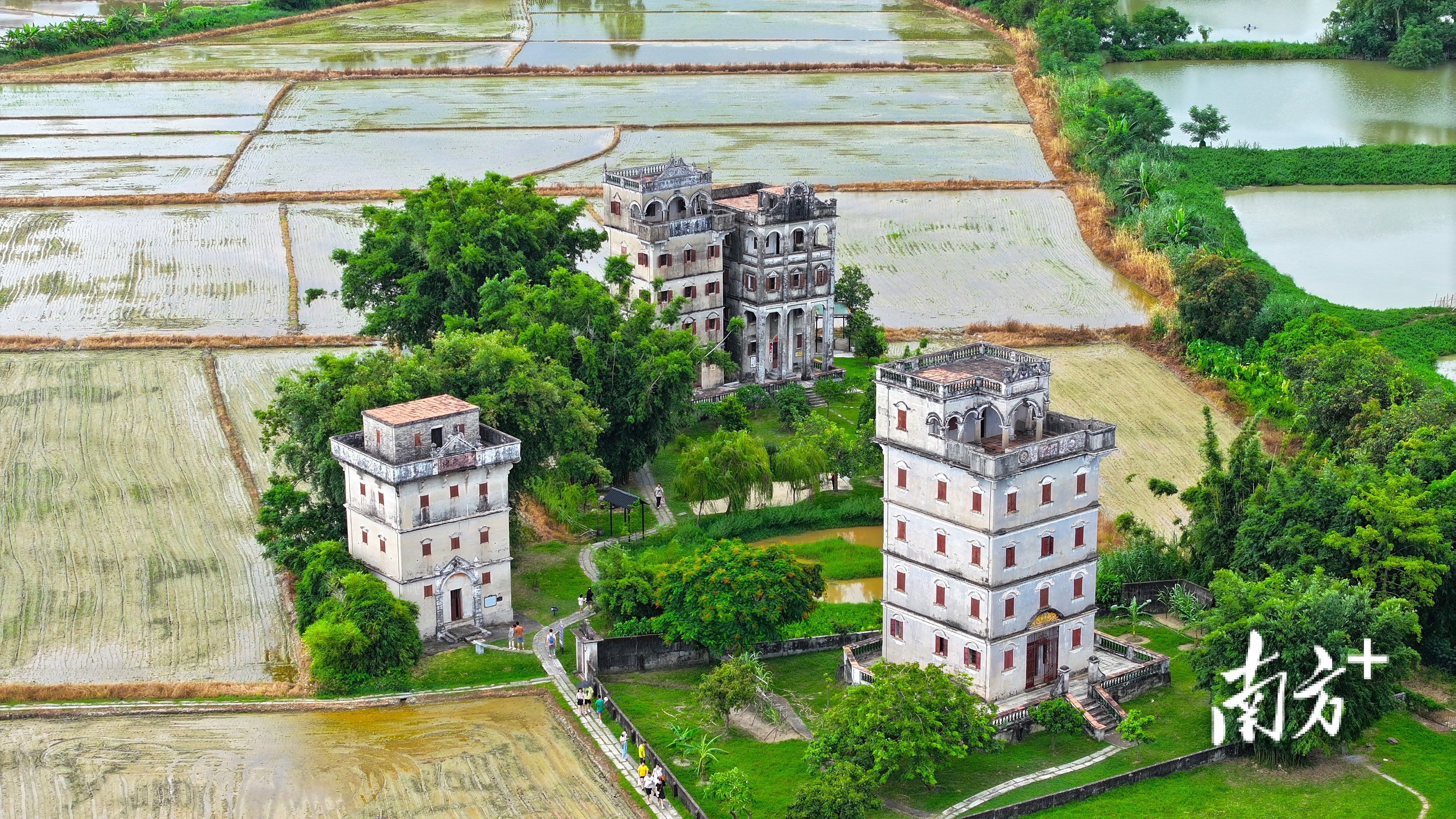 开平碉楼。 南方+记者 杨兴乐 摄 开平碉楼。 南方+记者 杨兴乐 摄