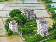 杜春兰：深挖乡村特色，打造特色乡村｜聚焦“梁思成杯”专家访谈⑧