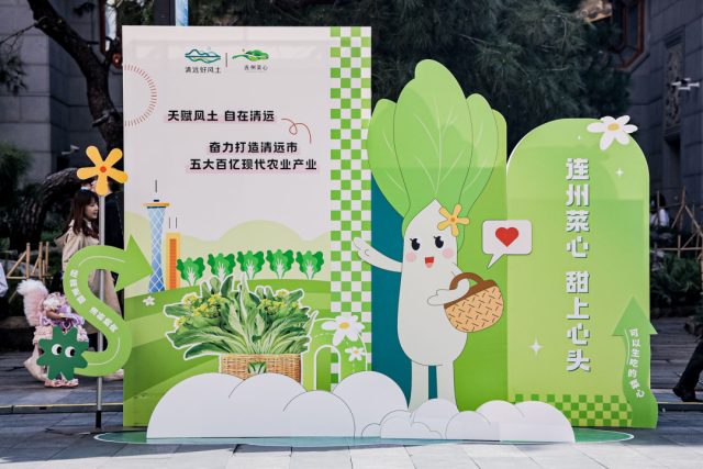 连州来到北京路步行街举办菜心推介活动。