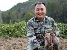 梅县区大学生“产业村长”刘绍君：撂荒地少一点 “薯”光多一点|产业村长上岗 乡村振兴有方⑨