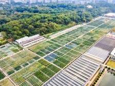 广东种业，向新向兴！