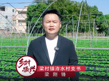 梁村洊水村党支部书记梁刚锋：和美洊水展新颜