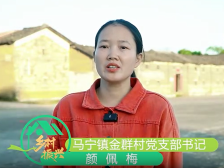 马宁金群村党支部书记颜佩梅：“金”雁领航，“群”策群力