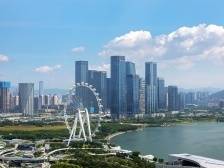 “双数峰会”来了！以“数”赋能，粤港澳共绘新图景