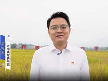 大岗镇党委书记梁俊杰：大业凭拼力，岗峰勇攀登