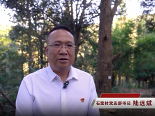 洽水石莹村党支部书记陆远斌：党建引领发展高山茶