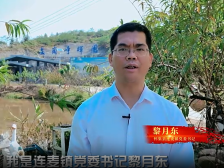 连麦镇党委书记黎月东：聚焦“四大功夫”助推乡村振兴