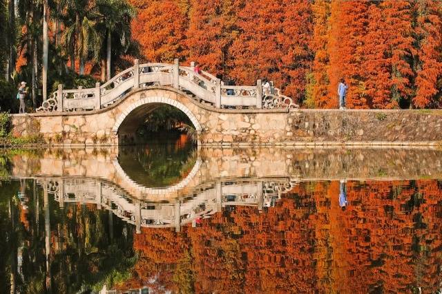 华南植物园 图源：FUN TOMATO GO PEE 