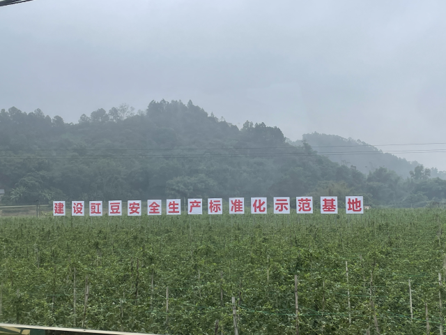 南方农村报 杨鹏 拍摄