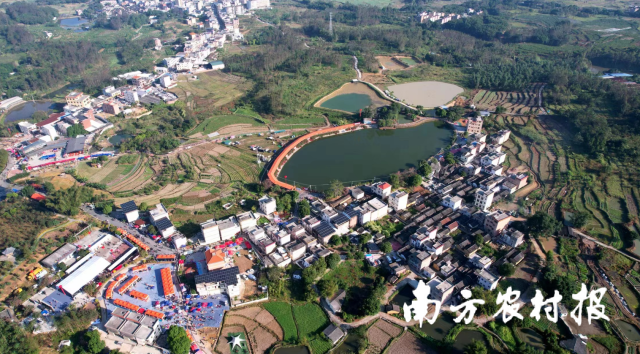 云浮市云城区第六届番薯节暨乡村美食旅游季启动仪式举办地——云城区前锋镇大江头村。