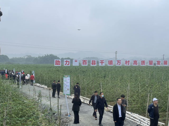 南方农村报 杨鹏 拍摄