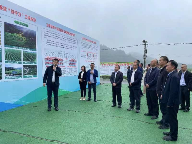 参观阳春三甲鼎田种植专业合作社豇豆示范基地