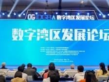 数字湾区“通”的密码