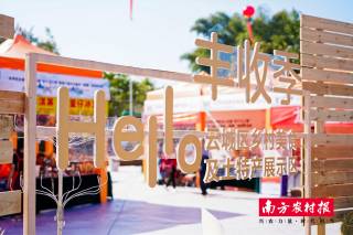 图集|“薯”不尽的欢乐!定格云浮云城第六届番薯节精彩瞬间