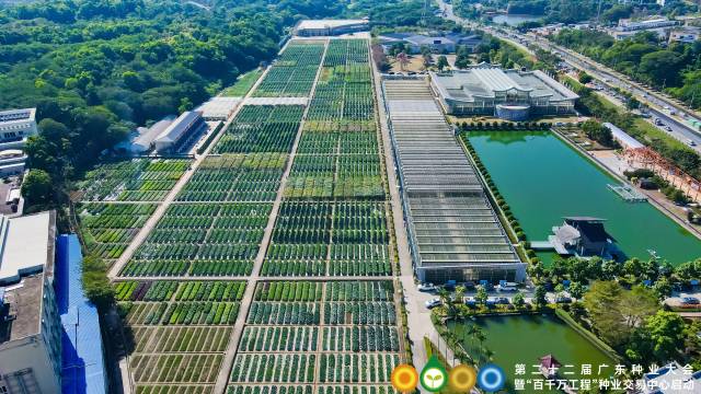 第二十二届广东种业大会现场俯瞰图