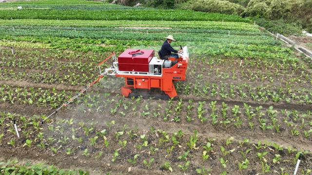广东农装所的蔬菜收获机