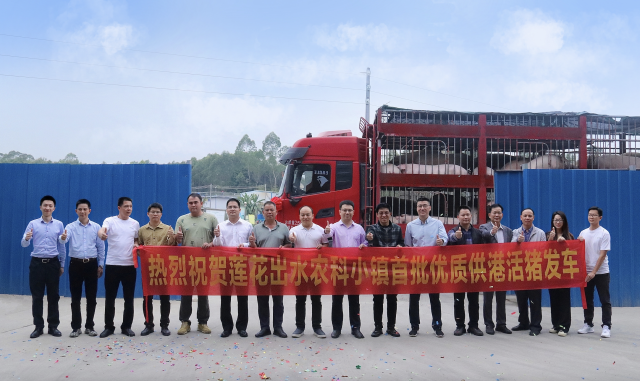 莲花出水农科小镇供港生猪首次发车