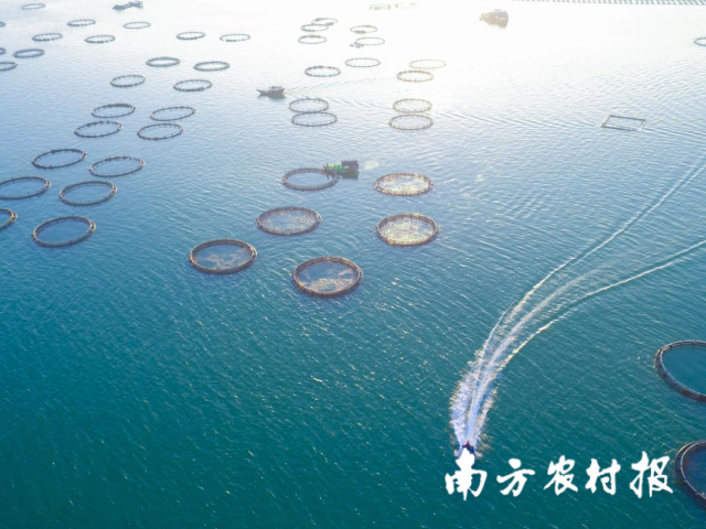 湛江冬季海捕场景。