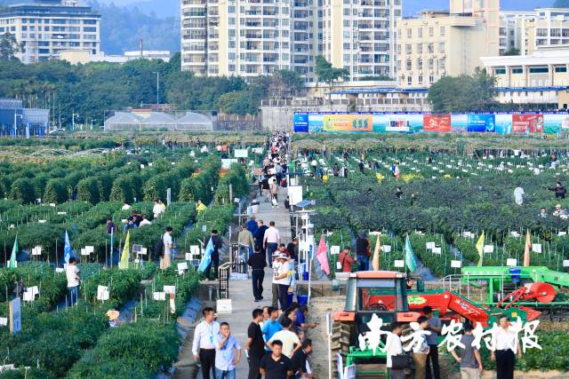 广东种业的年度盛会——第二十二届广东种业大会暨“百千万工程”种业交易中心启动仪式（下称“种业大会”）在广州举行。