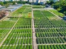 期待你的到来，这场种业盛会有N多看点