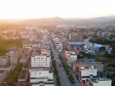 岗坪企业家：推动农业增效农民增收