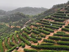 洽水企业家、乡贤：让农民顾家务工务农“三不误”