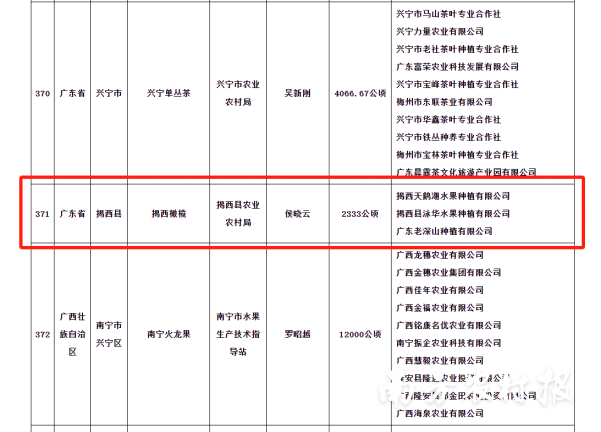 揭阳揭西橄榄入选全国名特优新农产品公示名单。