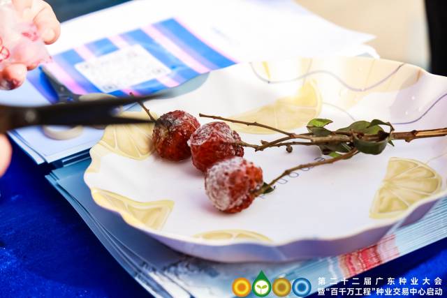 广州鲜汇冷冻技术有限公司的冻眠荔枝产品