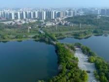 激活留用地价值，花都新雅这条村景美民富产业兴