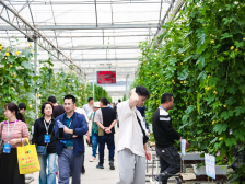 种业大会上的“绿美”