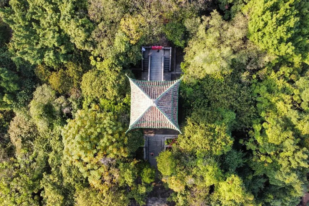 航拍公园里的望月亭。 航拍公园里的望月亭。